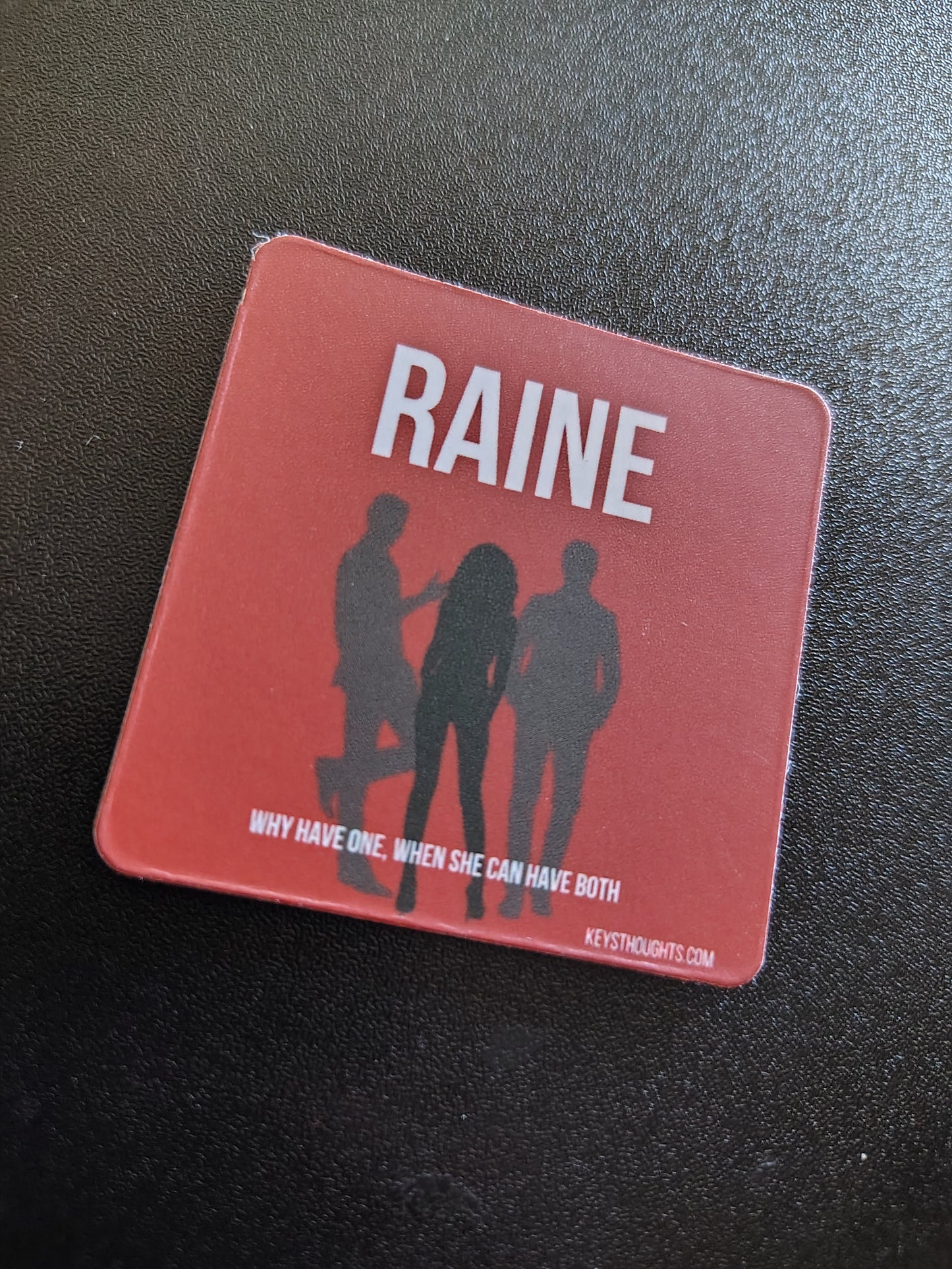 RAINE MAGNET-Book 1